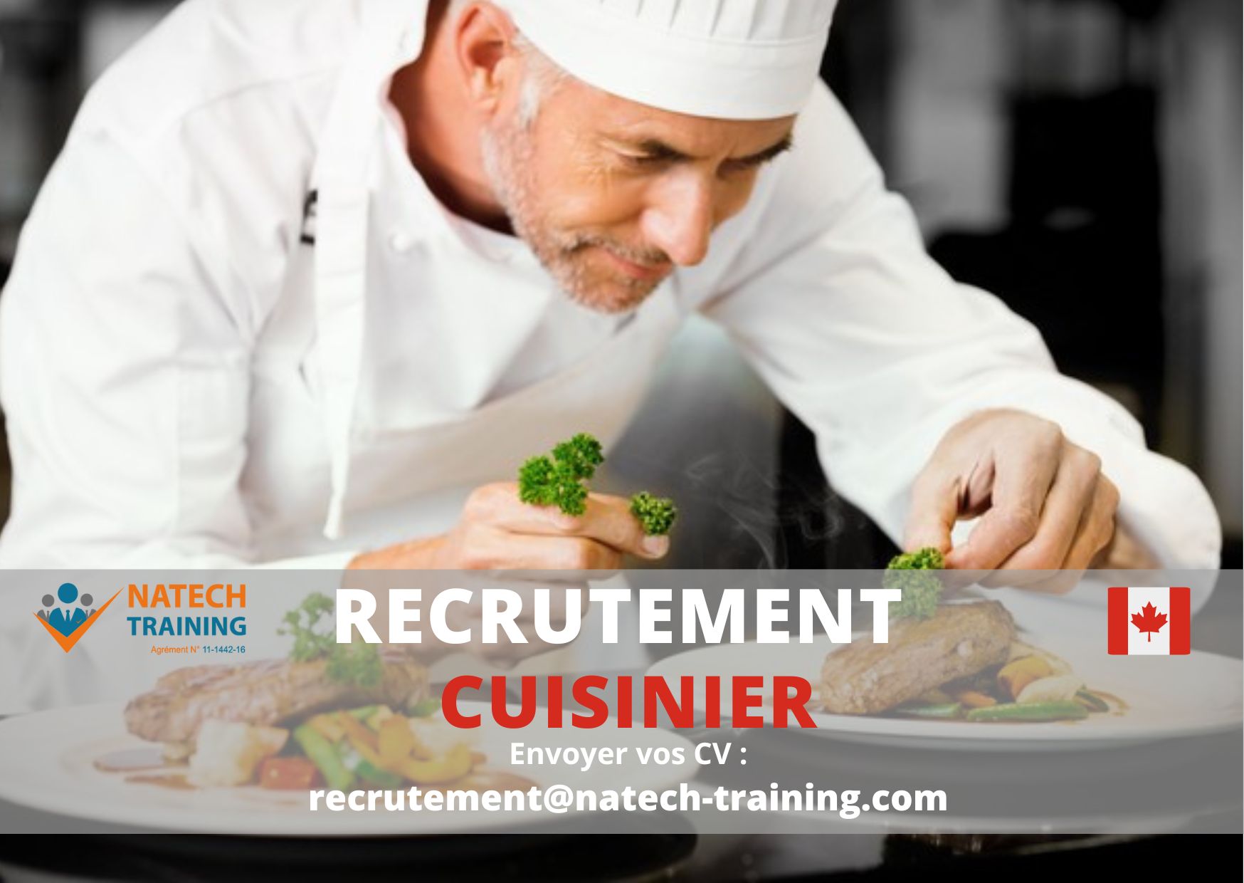 Offre Demploi Pour Travailler Au Canada Cuisinier Natech Training